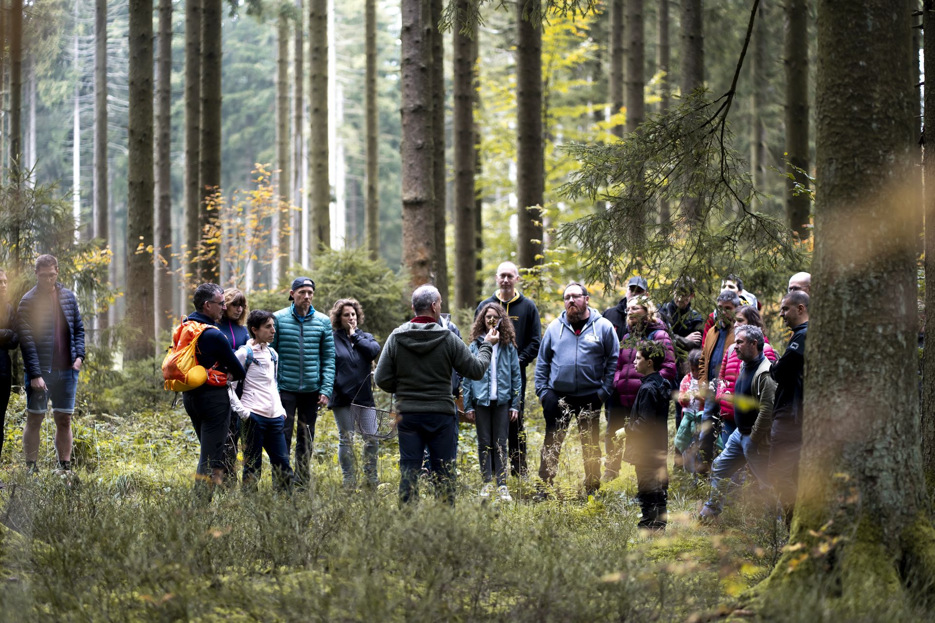 Départ pour la balade nature en forêt