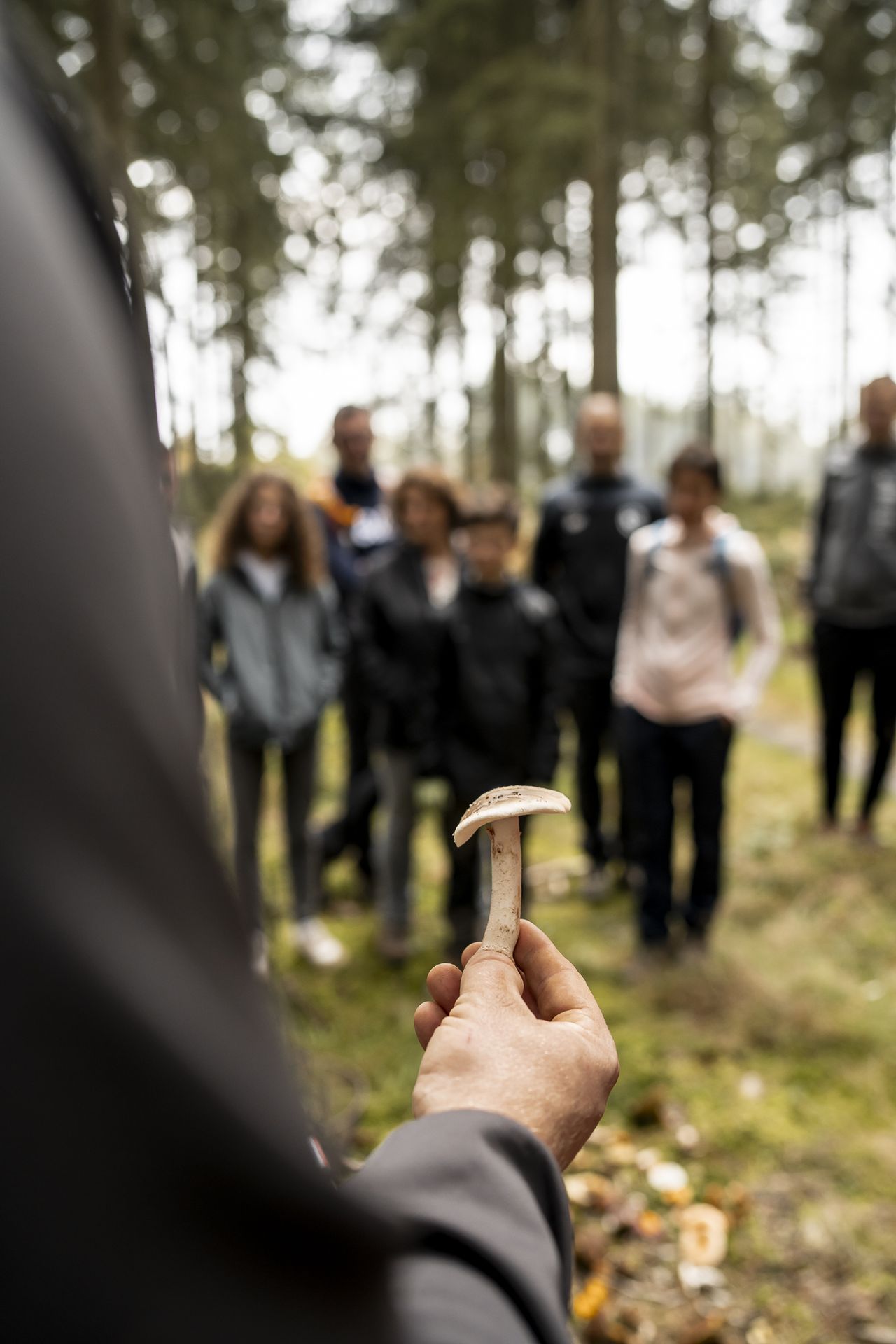 Notre guide présente un champignon au groupe