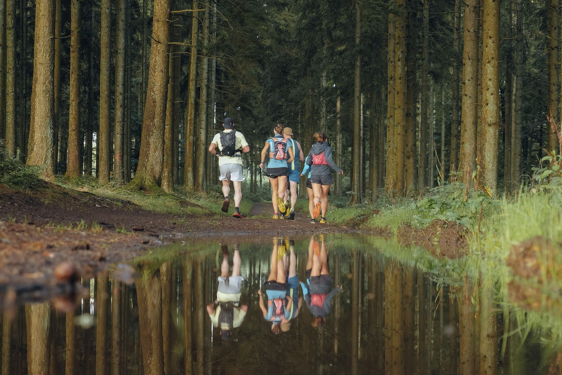 Groupe de traileurs en forêt d'épicéas, reflet dans une flaque