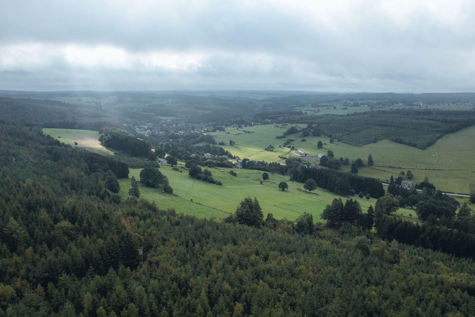 Vue aérienne sur la vallée et la forêt de Haute Ardenne