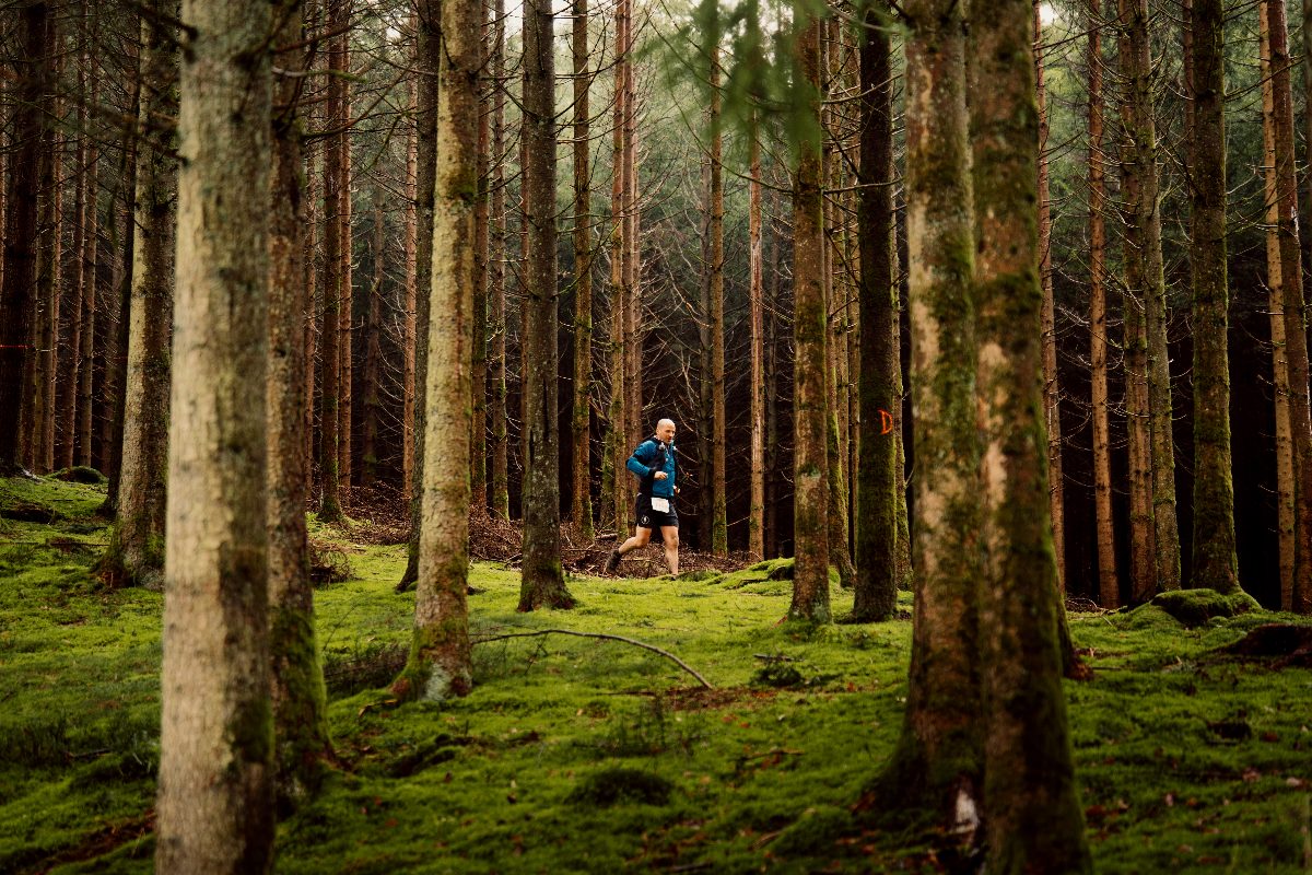 Un coureur dans une forêt moussue de la Haute Ardenne